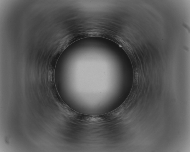 X0000090960379200708301208