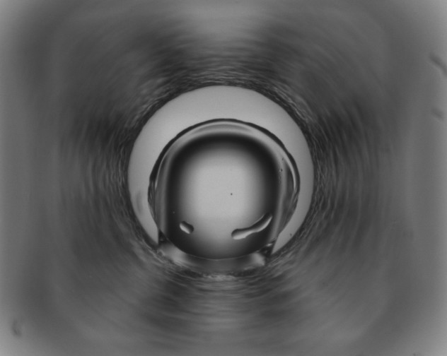 X0000090960380200708301208