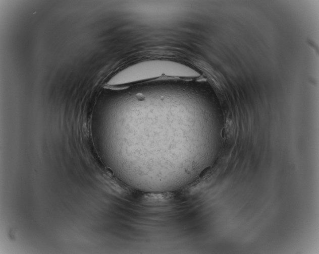 X0000090960381200708301208