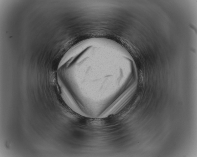 X0000090960383200708301209