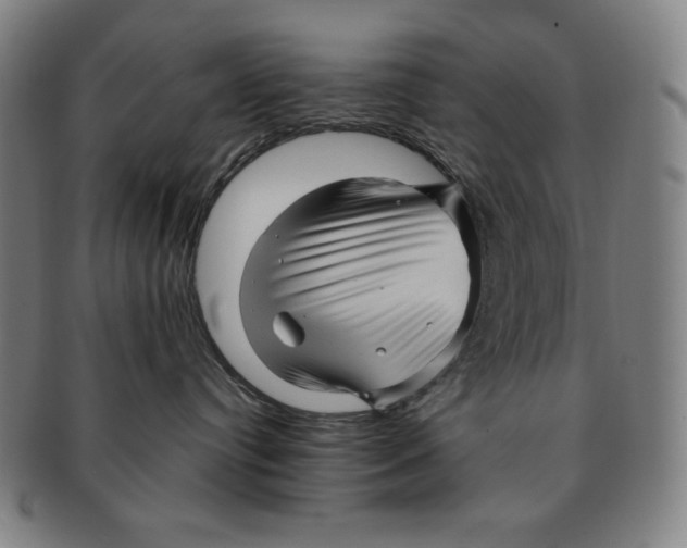 X0000090960384200708301209