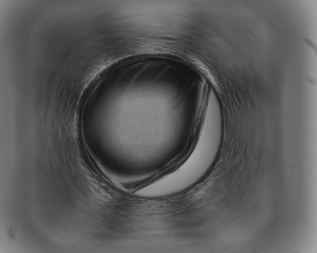 X0000090960387200708301208