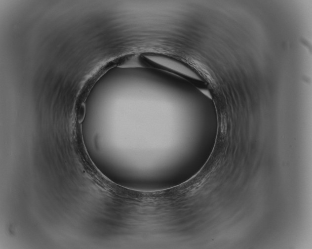 X0000090960388200708301208