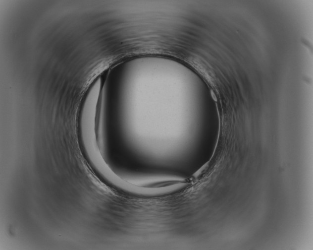 X0000090960389200708301208