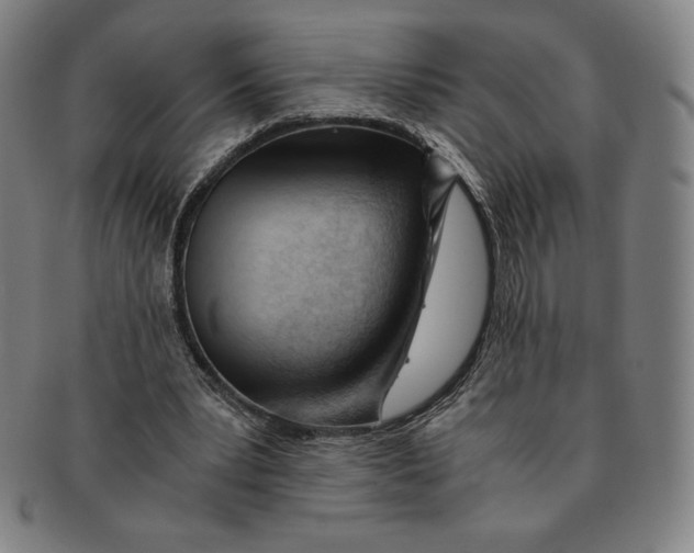 X0000090960391200708301208