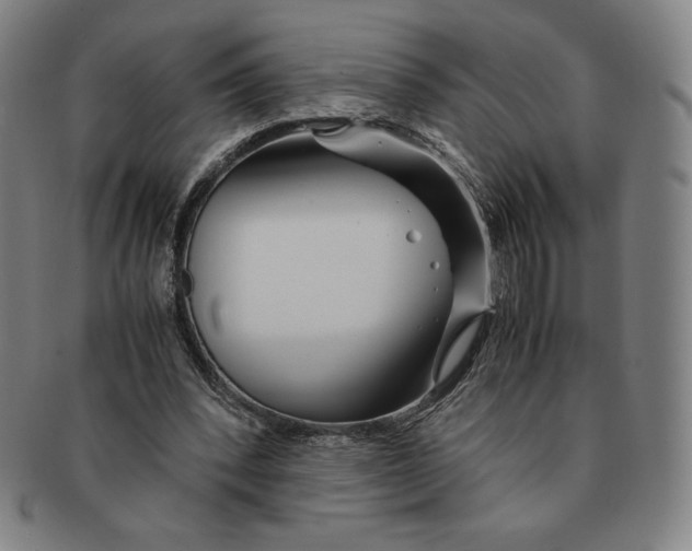 X0000090960392200708301208