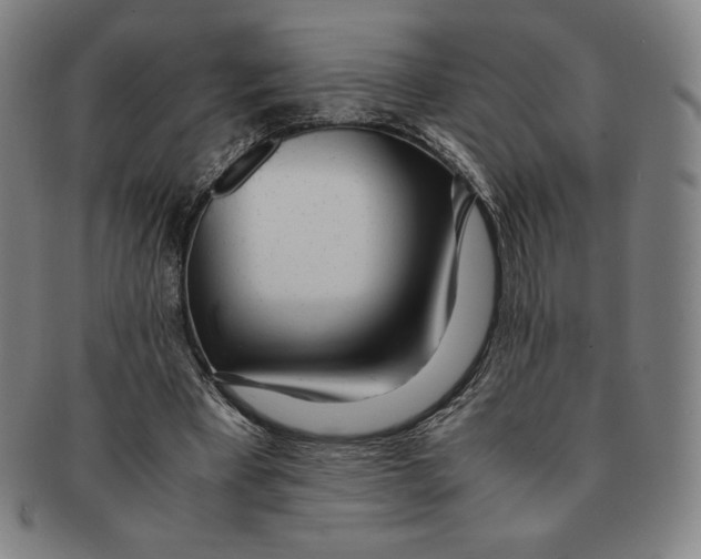 X0000090960393200708301208