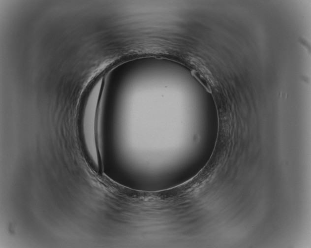 X0000090960395200708301208