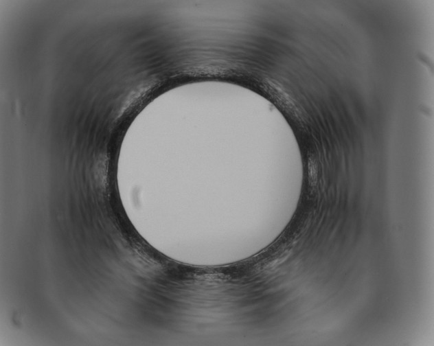 X0000090960396200708301208