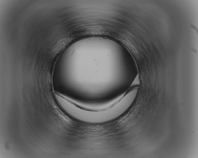 X0000090960397200708301208