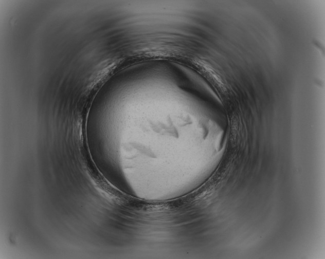 X0000090960398200708301208