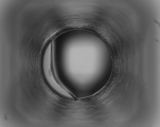 X0000090960399200708301208