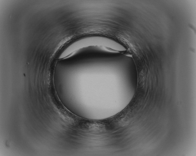 X0000090960400200708301207