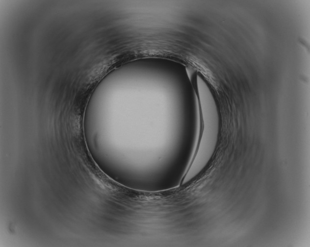 X0000090960401200708301207