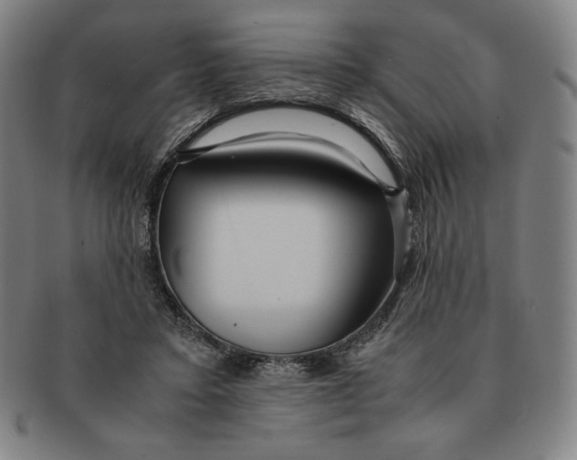 X0000090960403200708301207