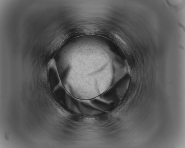 X0000090960405200708301207