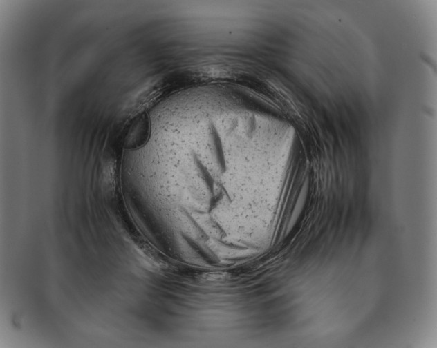 X0000090960410200708301207