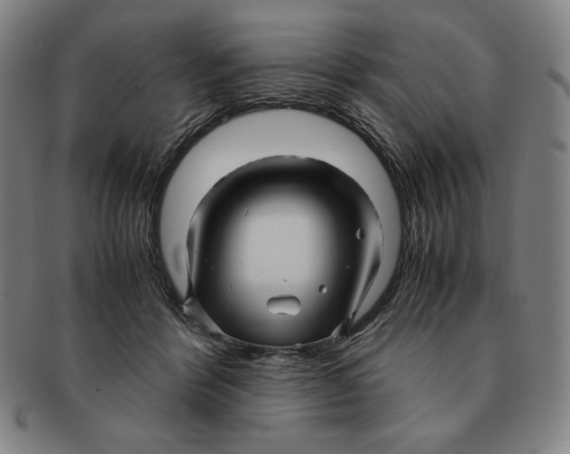 X0000090960412200708301207