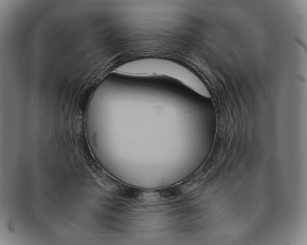 X0000090960413200708301207