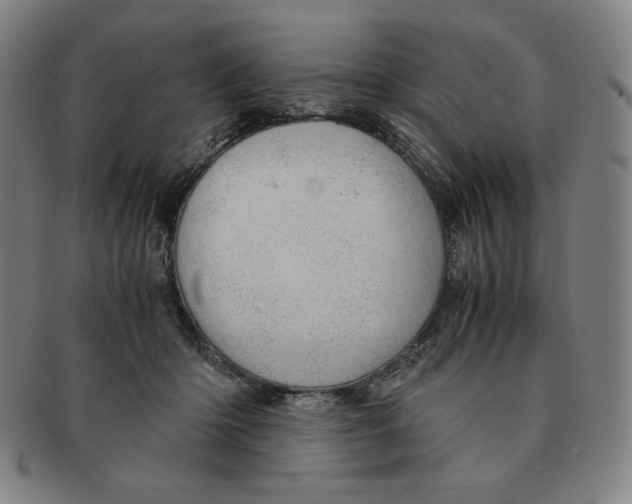 X0000090960414200708301207