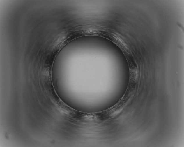 X0000090960415200708301207