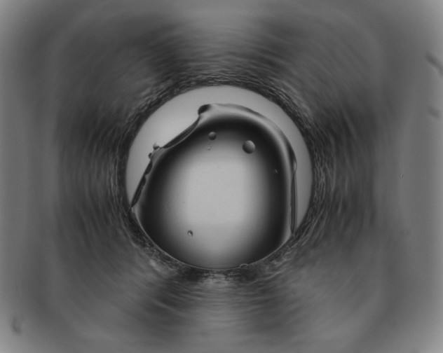 X0000090960416200708301207