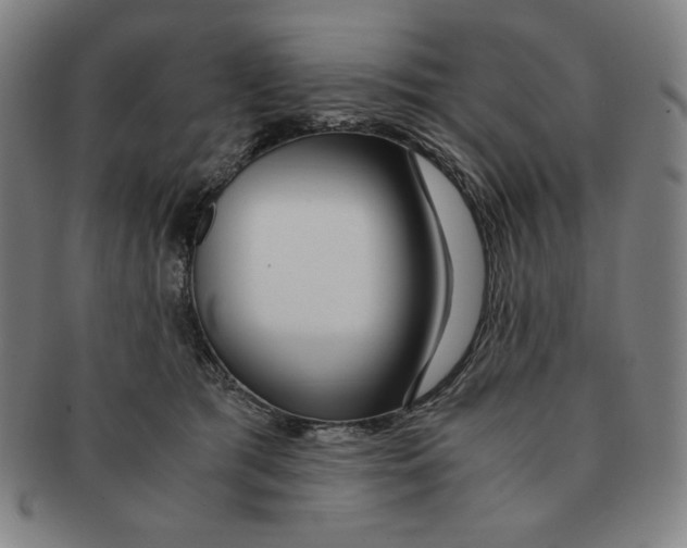 X0000090960417200708301207