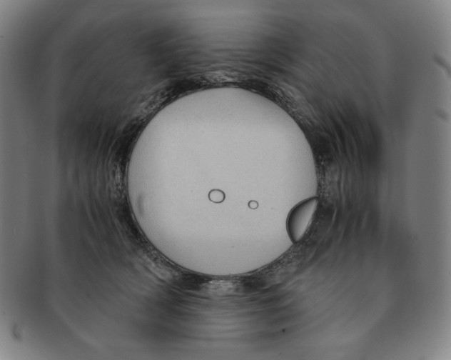 X0000090960418200708301207