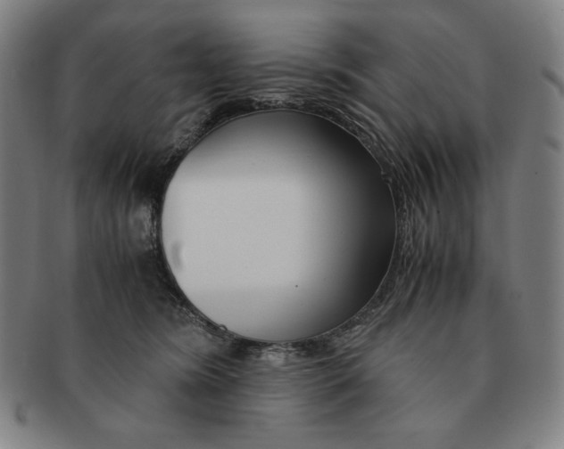 X0000090960420200708301207