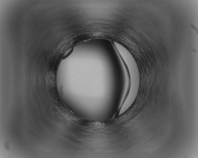 X0000090960421200708301207