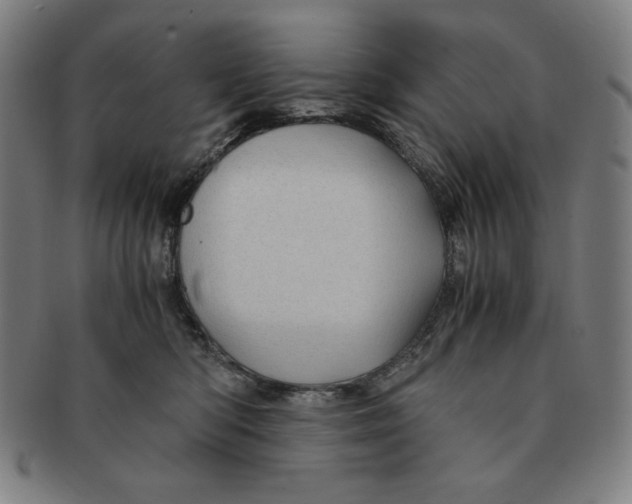 X0000090960422200708301207