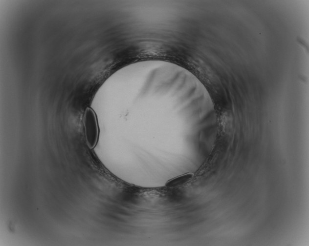 X0000090960423200708301207