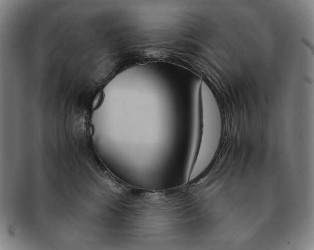 X0000090960424200708301207