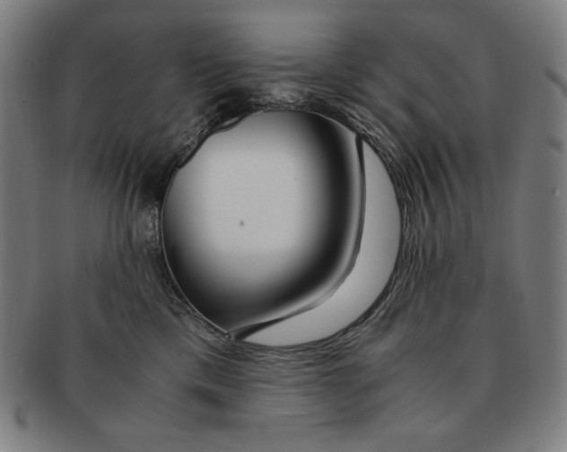 X0000090960425200708301207