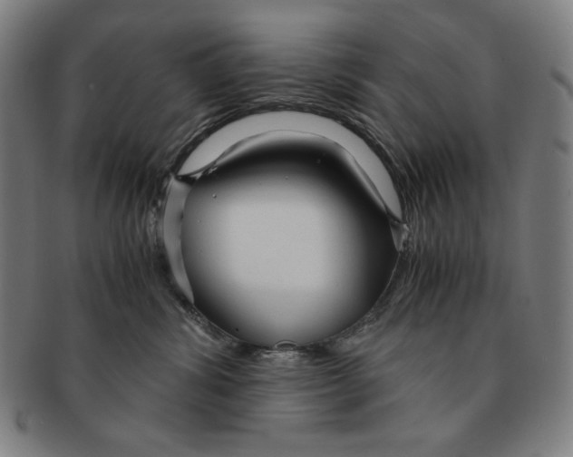 X0000090960428200708301207