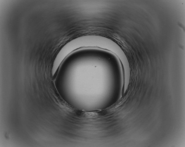 X0000090960429200708301207