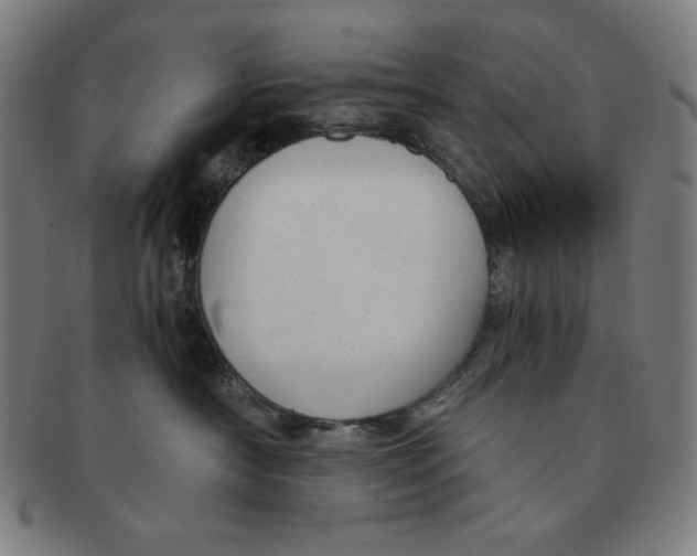 X0000090960430200708301207