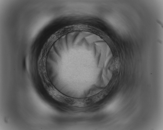 X0000090960431200708301207