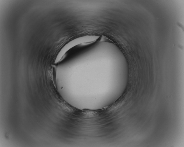 X0000090960432200708301207