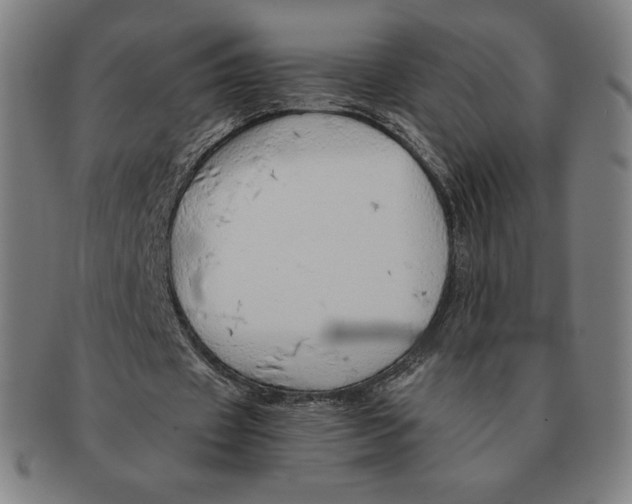 X0000090960433200708301206