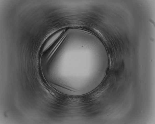 X0000090960435200708301206