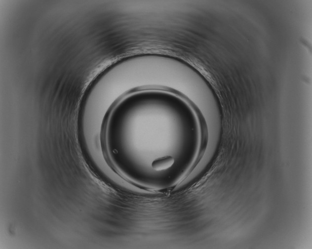 X0000090960438200708301206