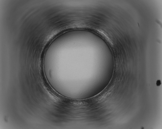 X0000090960439200708301206