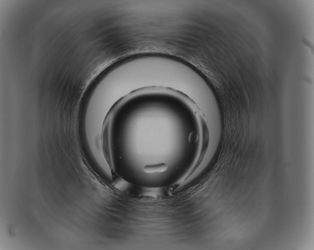 X0000090960440200708301206