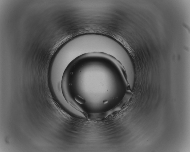 X0000090960442200708301207