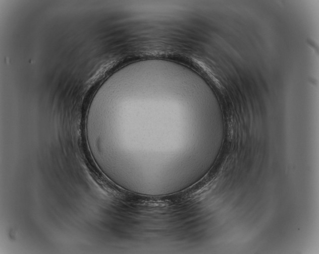 X0000090960443200708301207