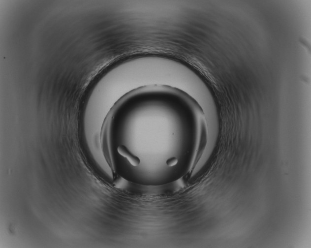 X0000090960444200708301207