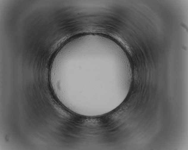 X0000090960445200708301207