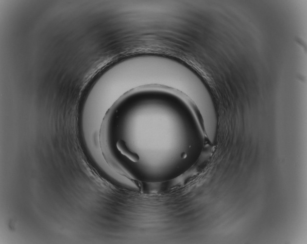 X0000090960446200708301207