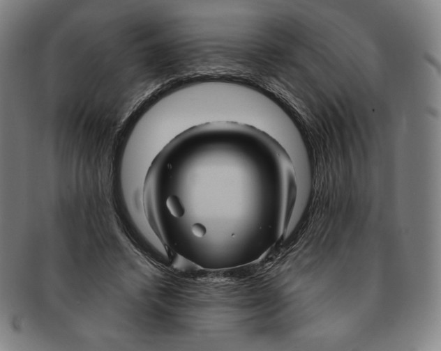 X0000090960448200708301207